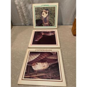 Cobra Snakes Children’s Book Lot-1986 Rourke Publishing-3 Books Copperhead etc